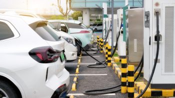 Tesla’s New $30,000 Car? – Rumors Swirl About a Cheap EV to Undercut Chinese Competitors